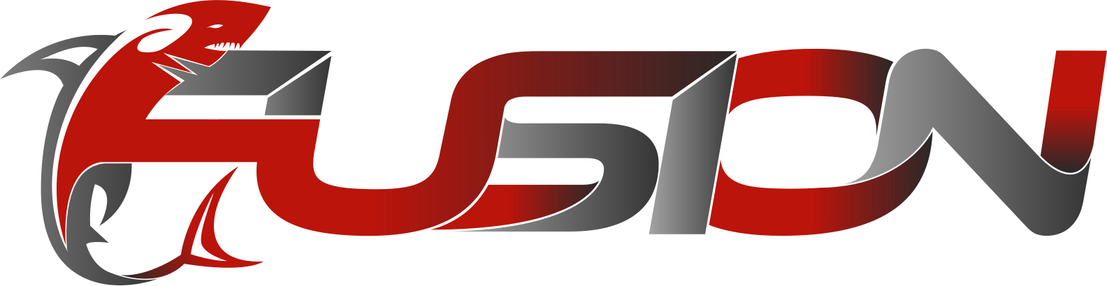 Fusion MMA & Jiu Jitsu